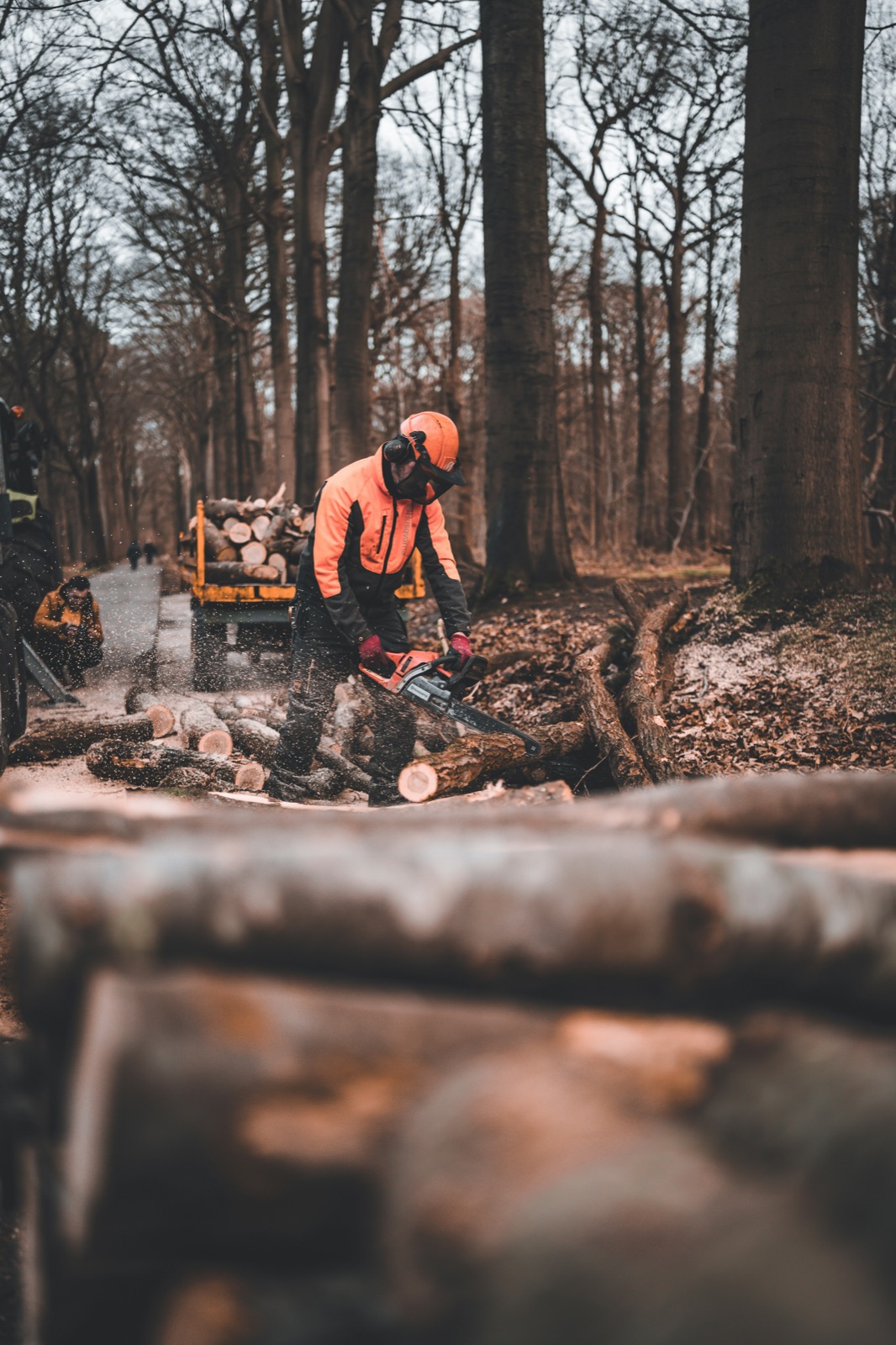 Forestry worker in tear-resistant outdoor workwear